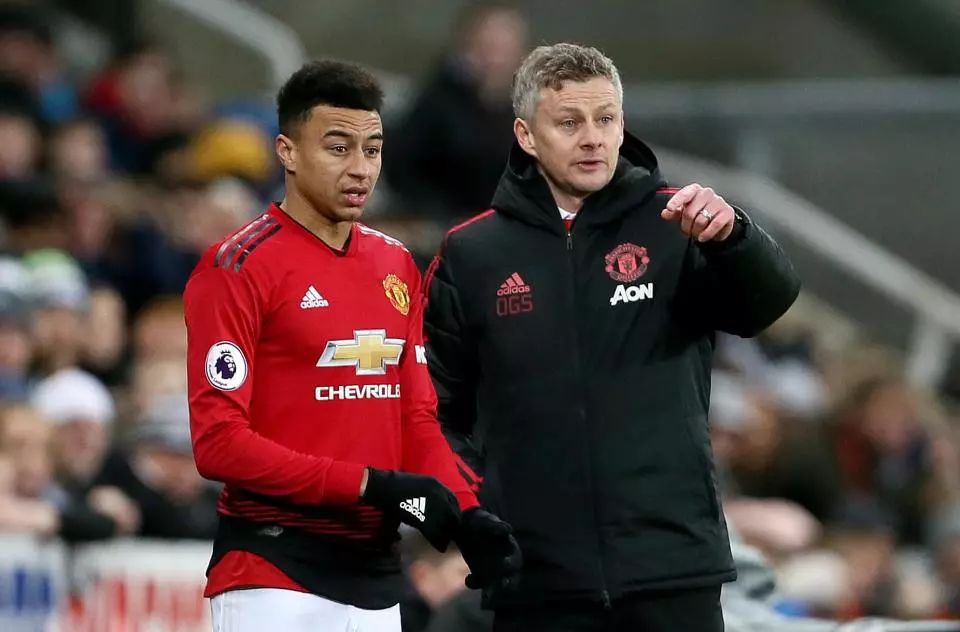 不但彰显了 不但彰显了