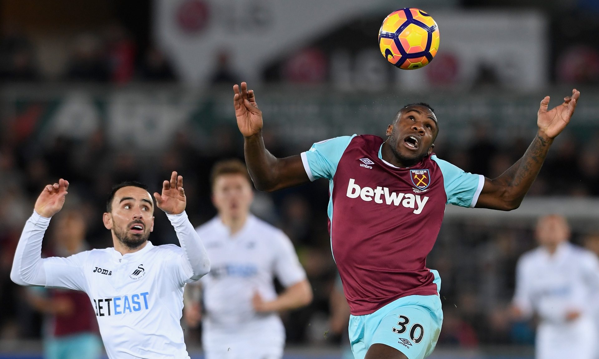 他多年来积 他多年来积